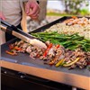 Nexgrill Daytona Plancha 3B